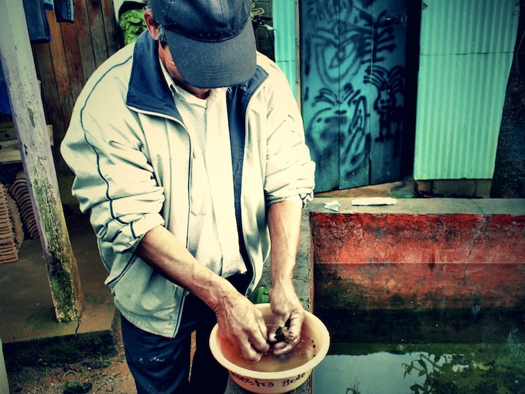 Magic mushrooms San José del Pacífico