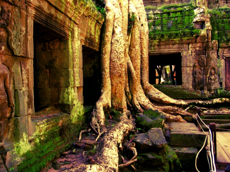 ta prohm cambodia