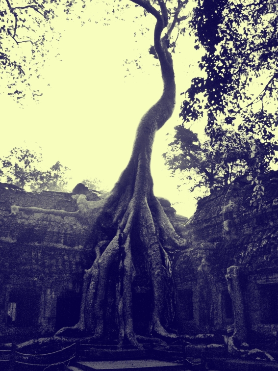 ta prohm cambodia