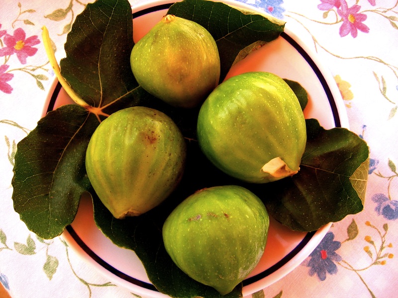 Figs Sardinia Italy