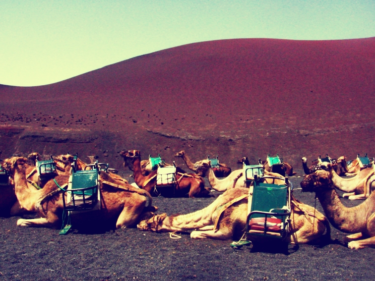 lanzarote timanfaya