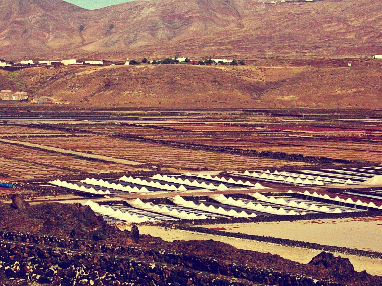 lanzarote salinas janubio