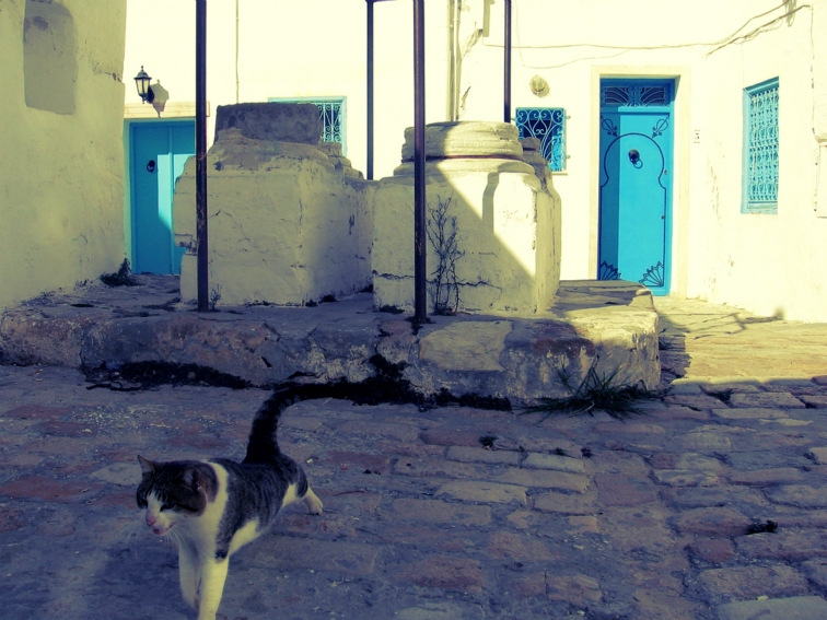 tunisia sidi bou said