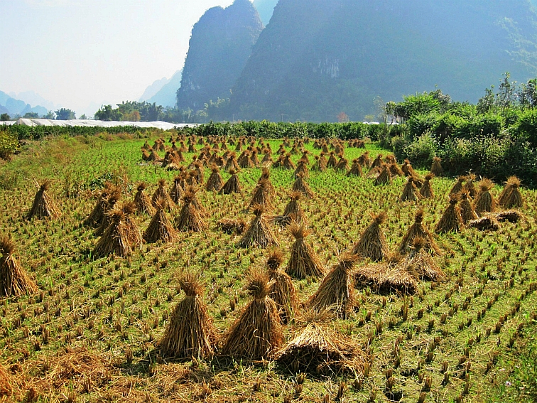 china yangshuo yulong