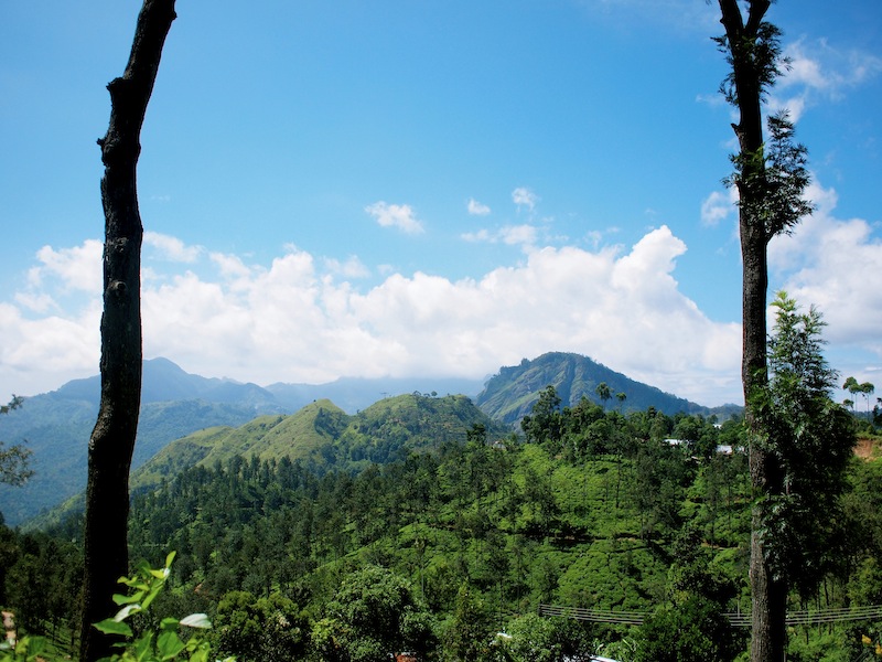 Ella Sri Lanka