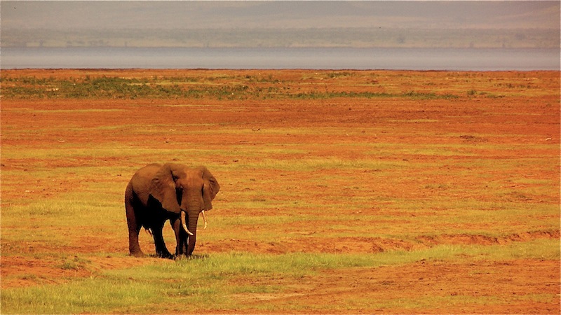 Lake Manyara Tanzania