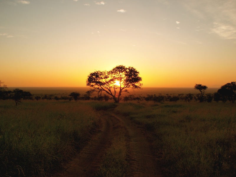 Serengeti Tanzania