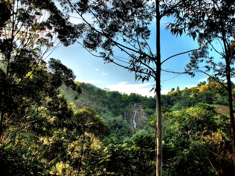 Waterfalls Homestay Sri Lanka