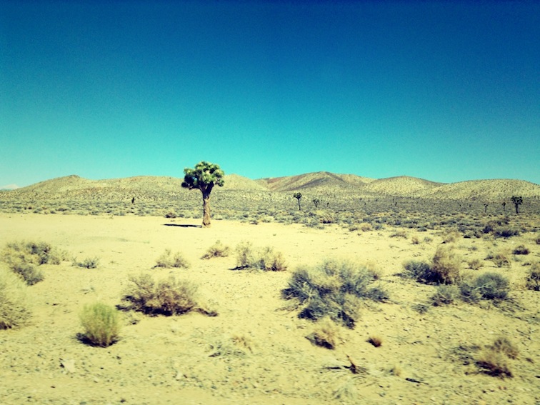 Death Valley Road Trip