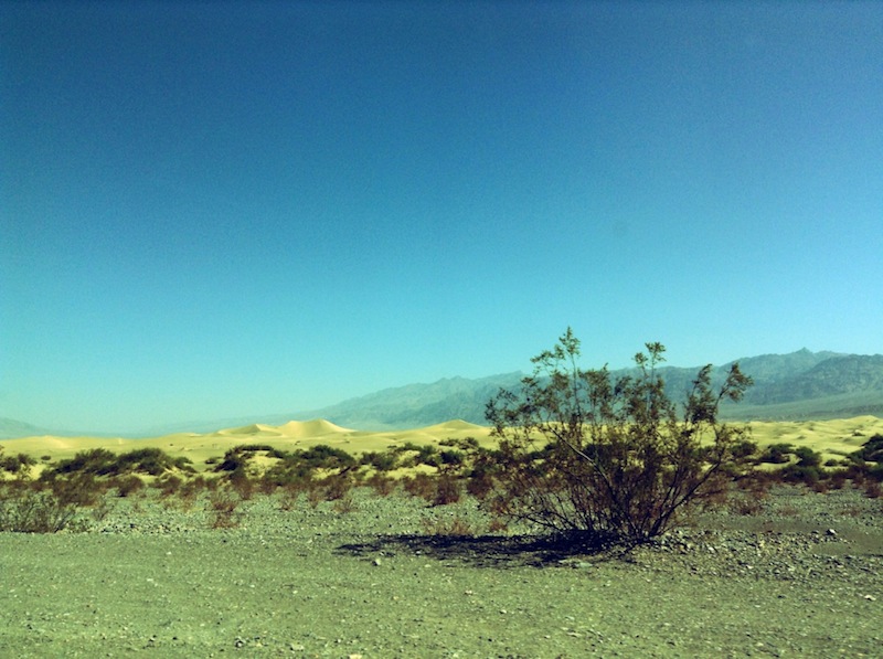 Death Valley Road Trip