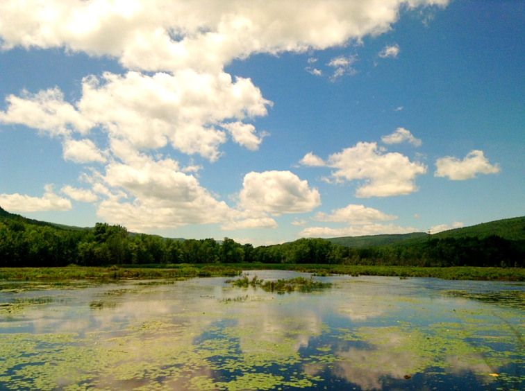 amtrak adirondack