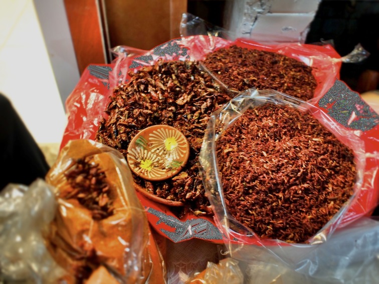 oaxaca chapulines benito juárez