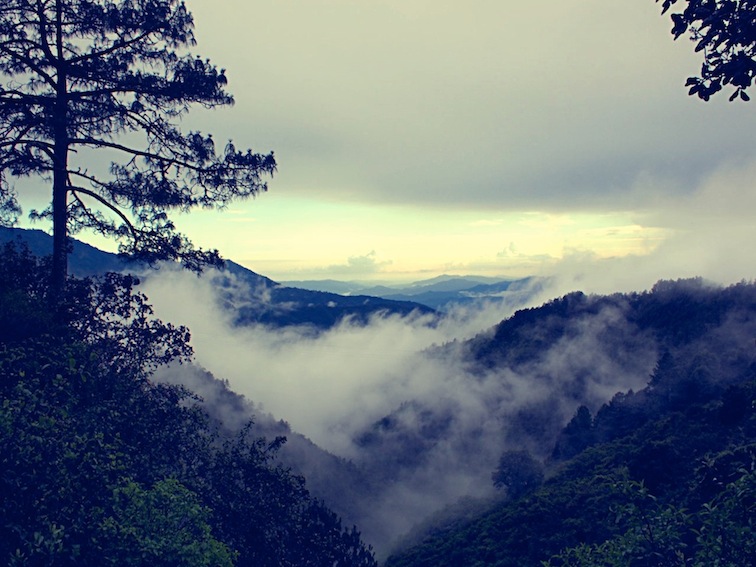 san josé del pacífico mist