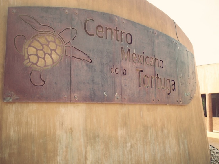 Centro Mexicano de la Tortuga