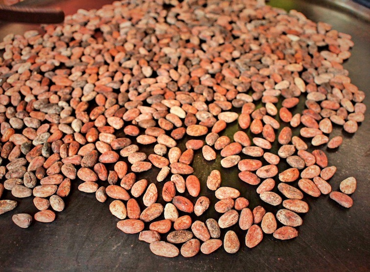 Fermented cocoa beans roasting