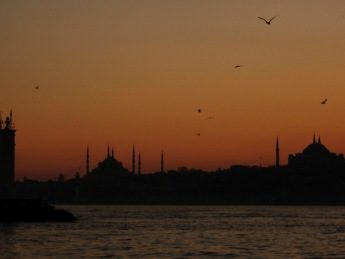 Sunset Bosphorus Birds