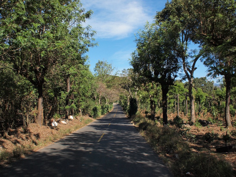 Road to Santiago Atitlán
