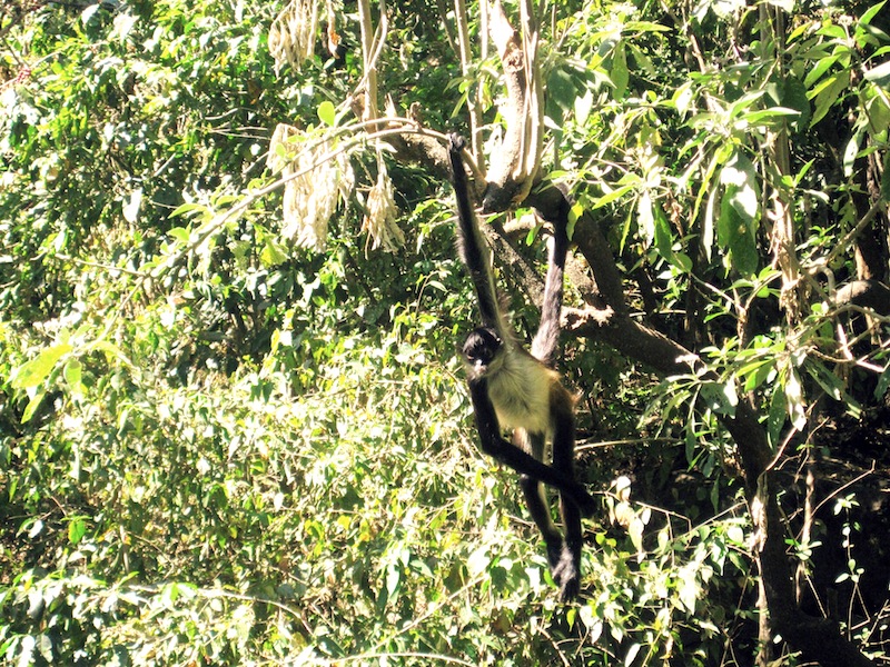 Atitlán Nature Reserve