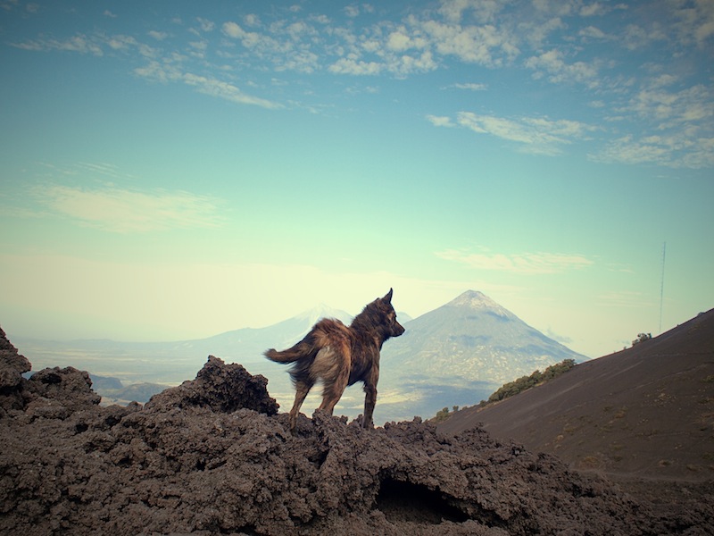 Climbing the Pacaya volcano